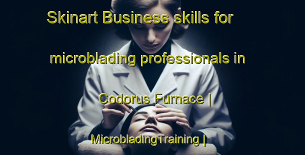 Skinart Business skills for microblading professionals in Codorus Furnace | MicrobladingTraining | MicrobladingClasses | SkinartTraining-United States